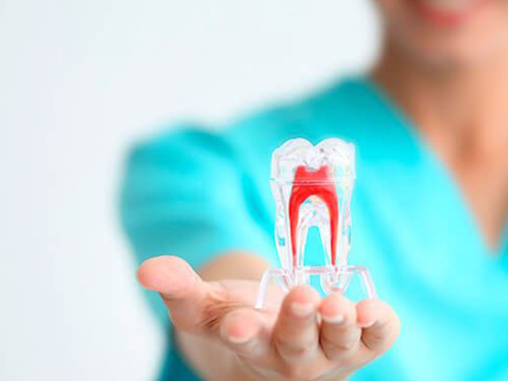 Endodonzia